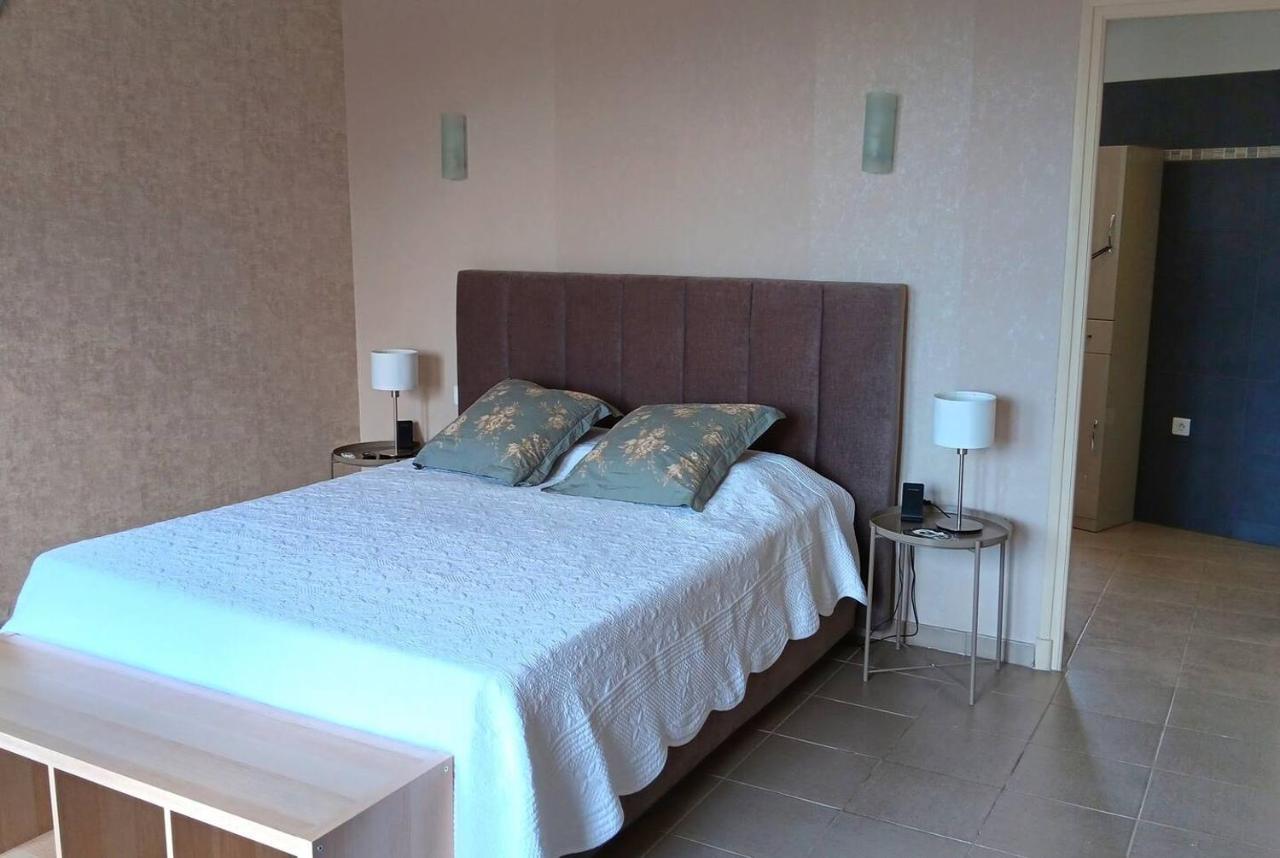 Tres Grand Appartement Lumineux Nice Eksteriør bilde