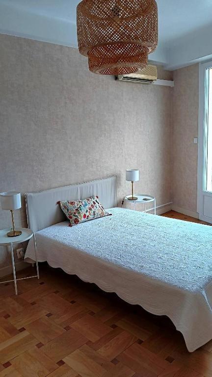 Tres Grand Appartement Lumineux Nice Eksteriør bilde